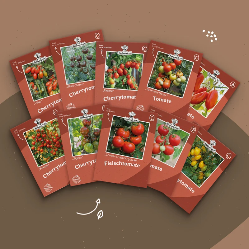 Freilandtomaten-Set Einkauf