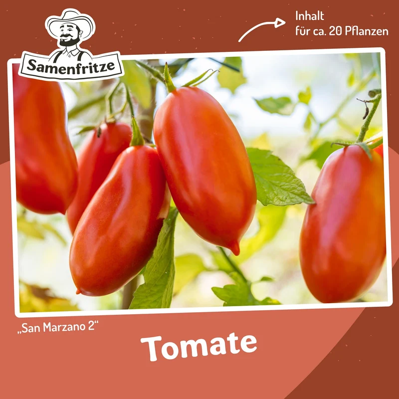 Freilandtomaten-Set Einkauf