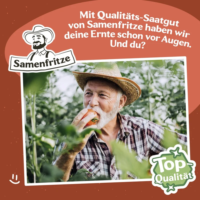 Freilandtomaten-Set Einkauf