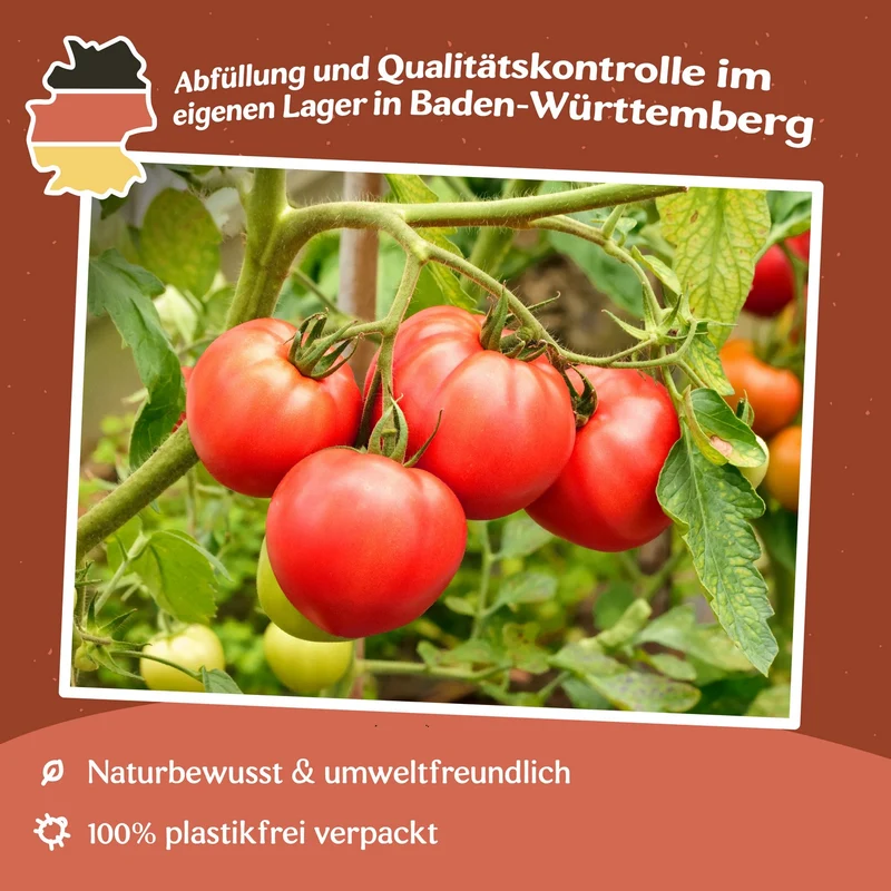 Brutus Tomatensamen
