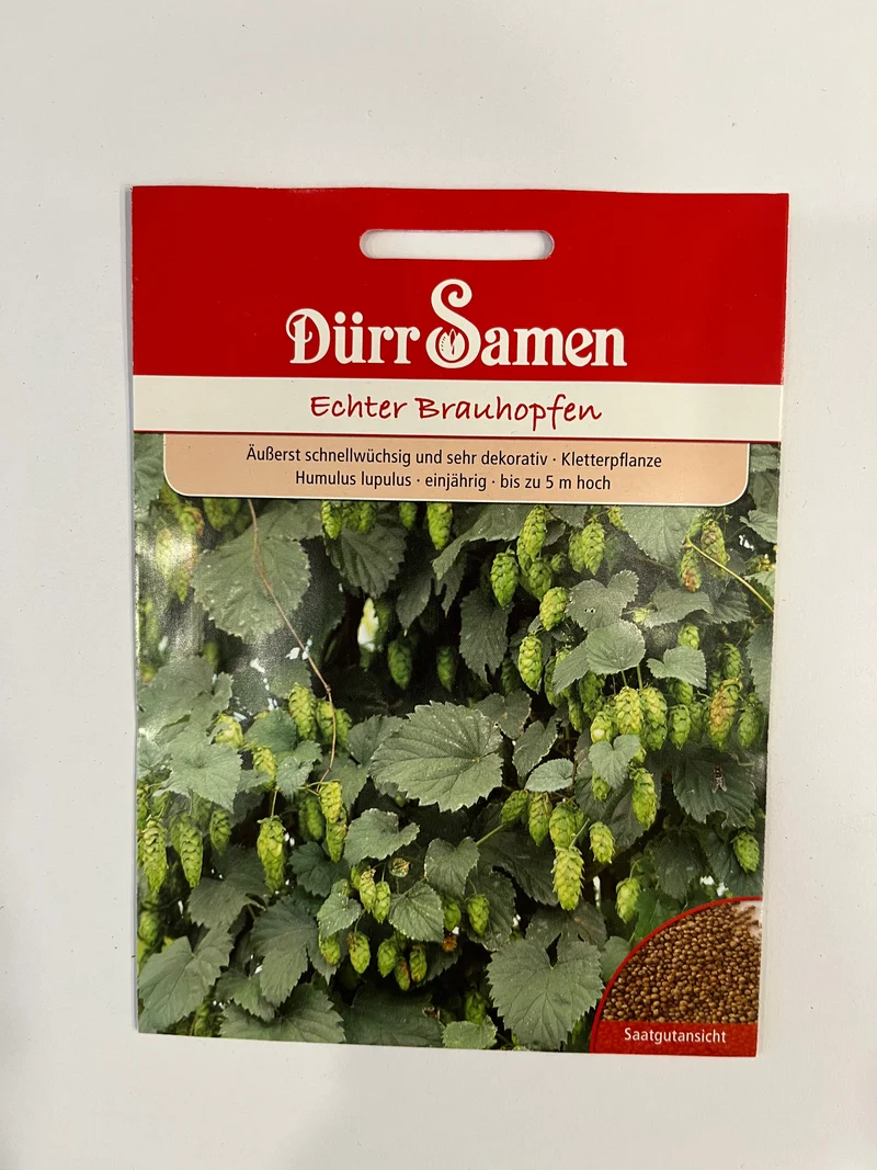 Brauhopfen, echter