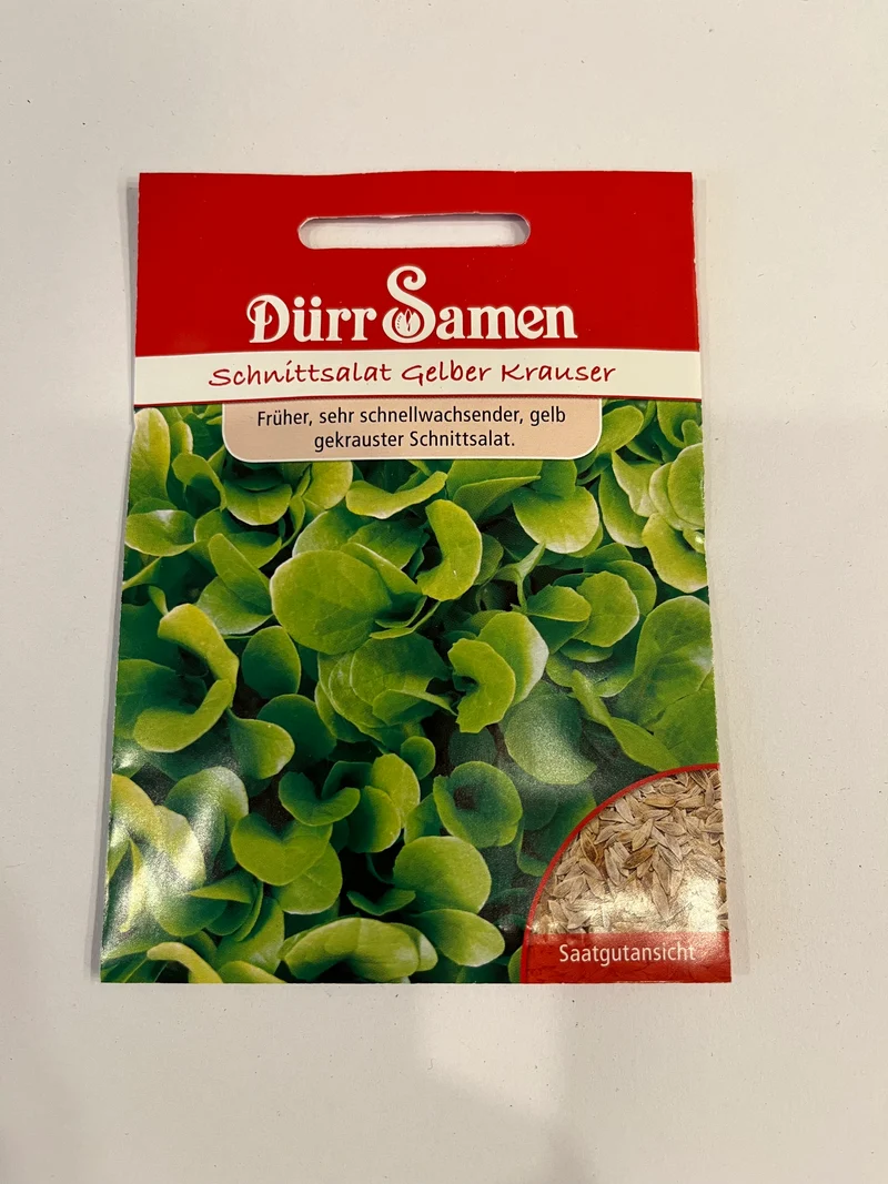 Schnittsalat Gelber krauser