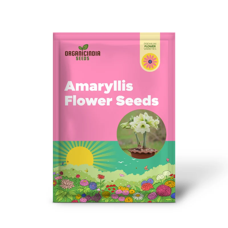 Amaryllis Flower Seeds for Planting Light Yellow