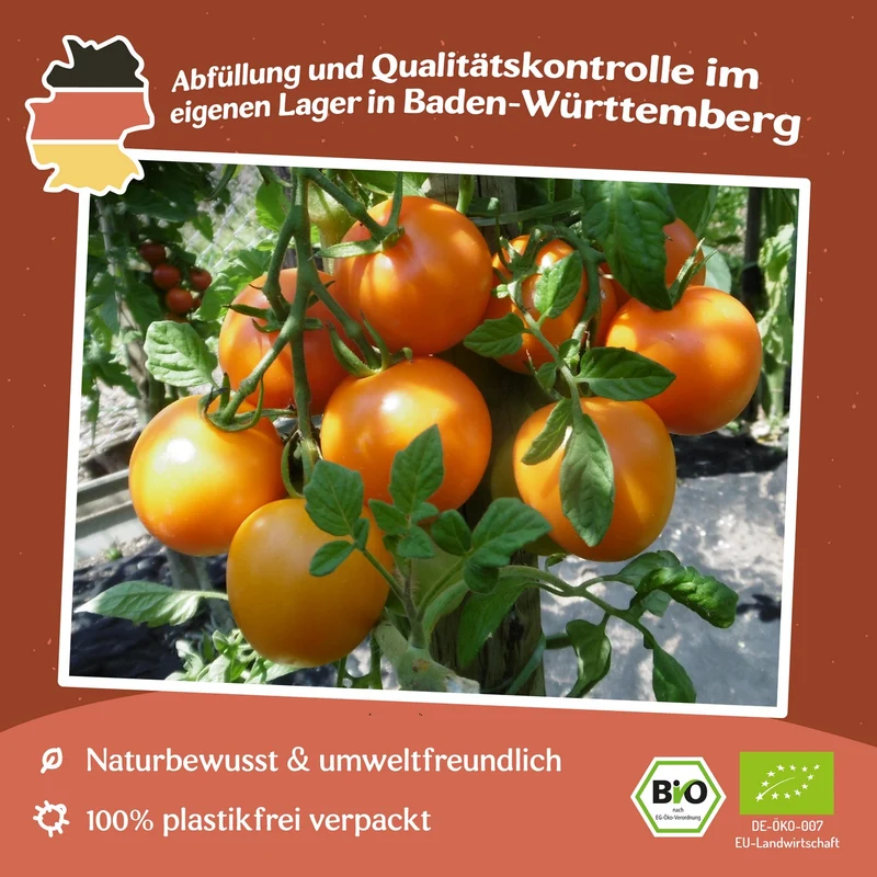 Auriga Bio-Tomatensamen