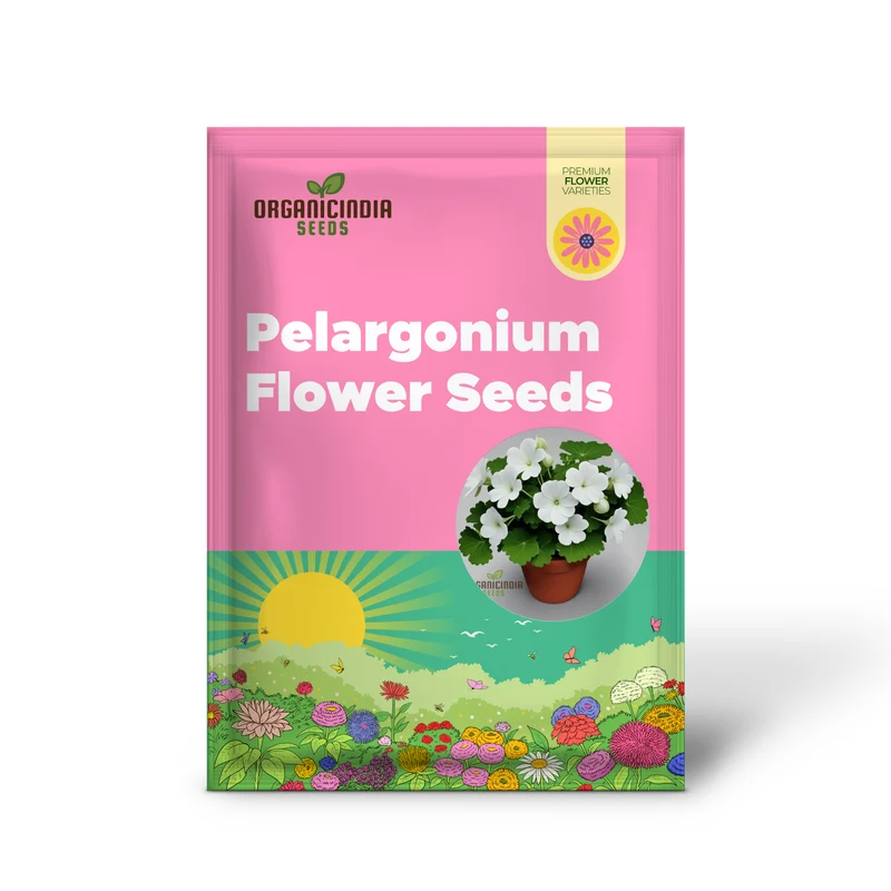 White Geranium Seeds – Pelargonium Seeds for Elegant Garden Blooms