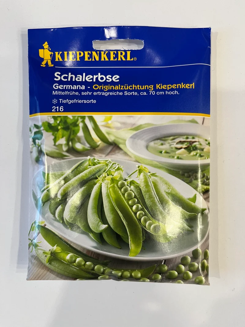 Schalerbse Germana