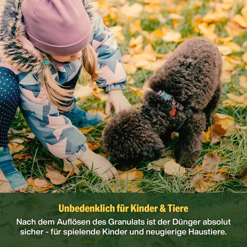 Herbst-Rasenpflege-Set
