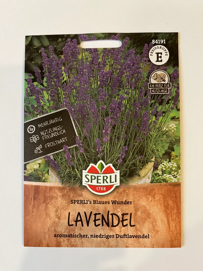 Lavendel Sperli‘s Blaues Wunder