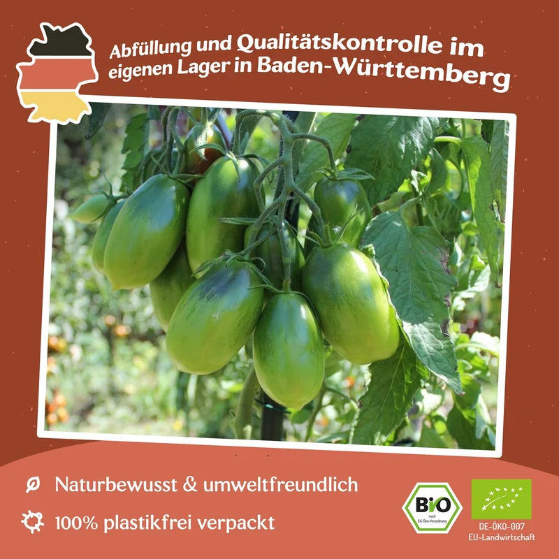 Purple Russian Bio-Tomatensamen