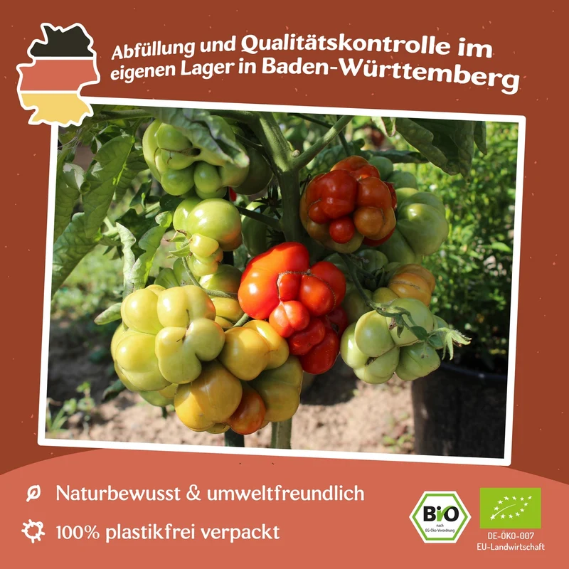 Reisetomate Bio-Tomatensamen