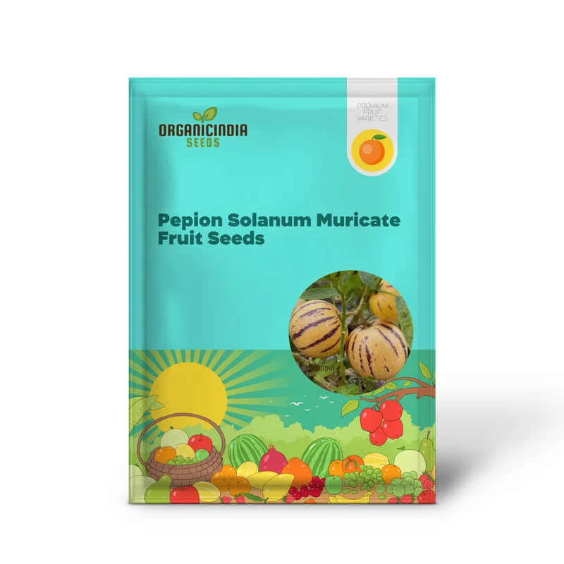 Pepion Solanum Muricate Fresh Fruit Seeds, Melon Tree Pepion Seeds For Planting
