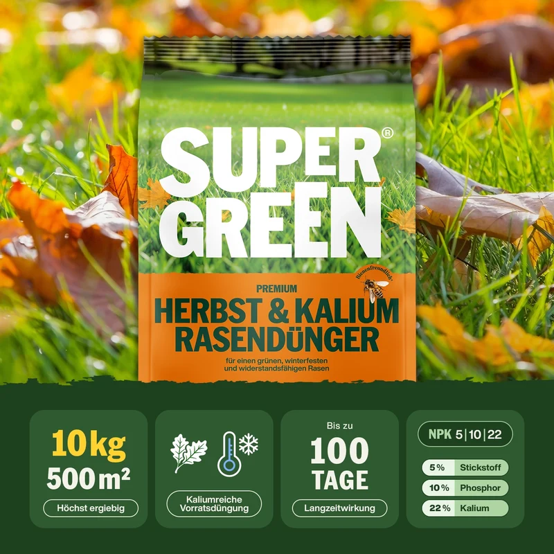 Herbst-Rasenpflege-Set