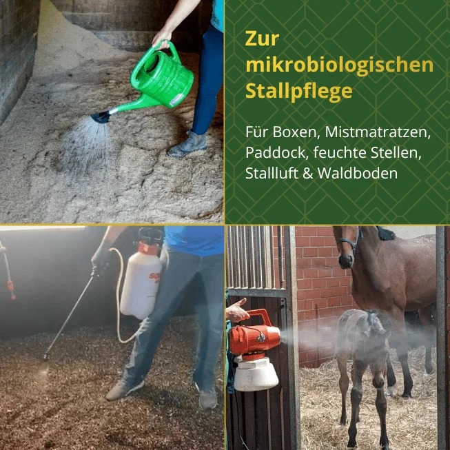 Stall-Balance - EM für die Pferdehaltung