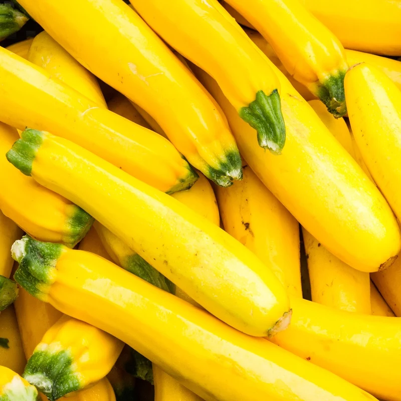 Zucchini Goldena Samen