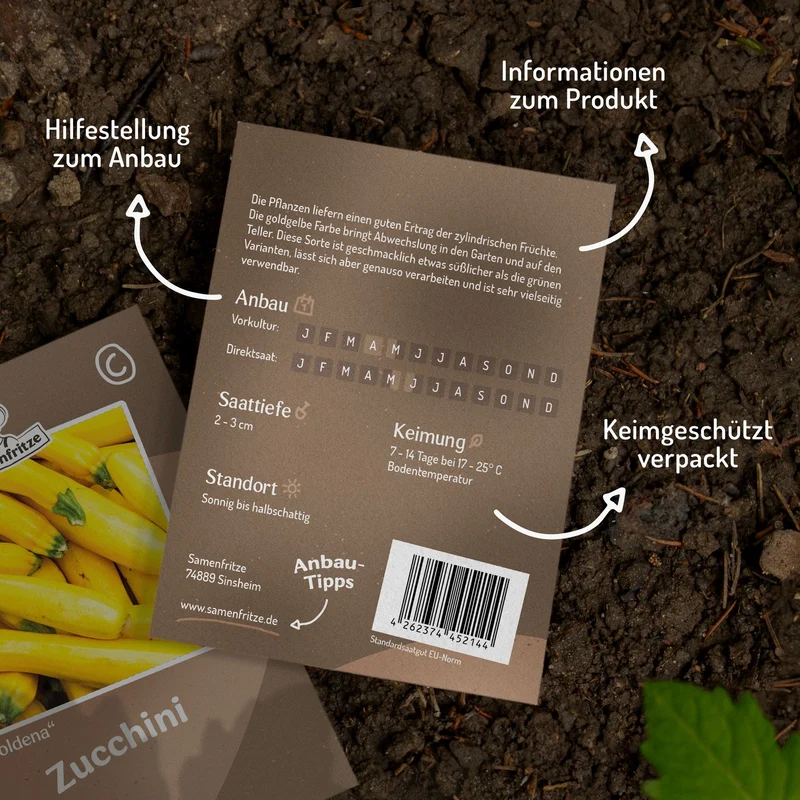 Zucchini Goldena Samen