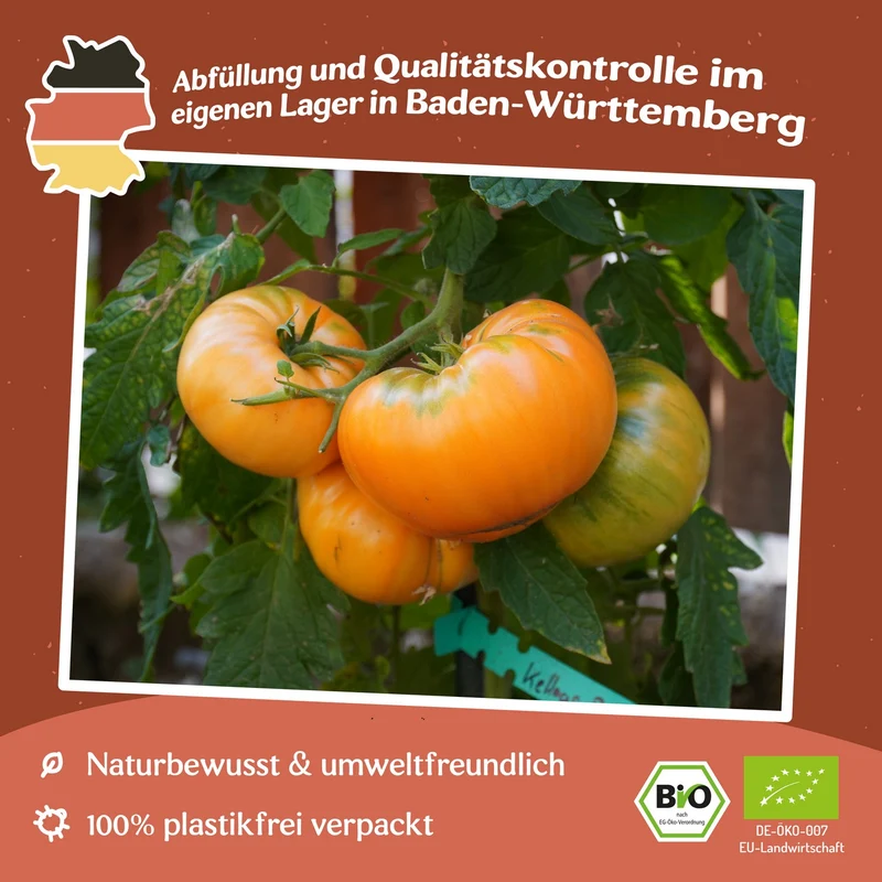 Kellogg`s Breakfast Bio-Tomatensamen