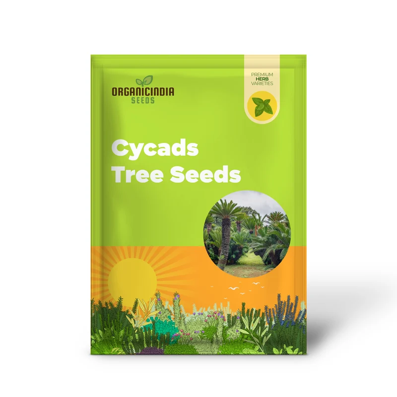 Cycads Tree Seeds for Planting – Tropical Evergreen Foliage, Exotic Palm-Like Growth, Premium Quality Seeds