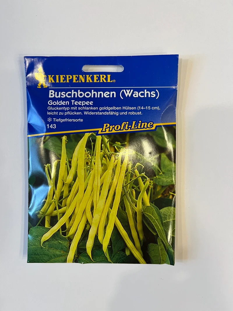 Buschbohnen Wachsbuschbohnen Golden Teepee