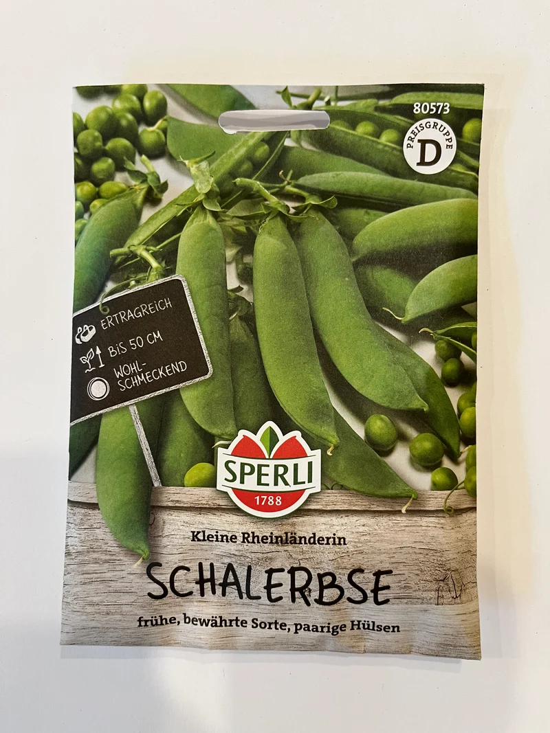 Erbse Schalerbse Kleine Rheinländerin
