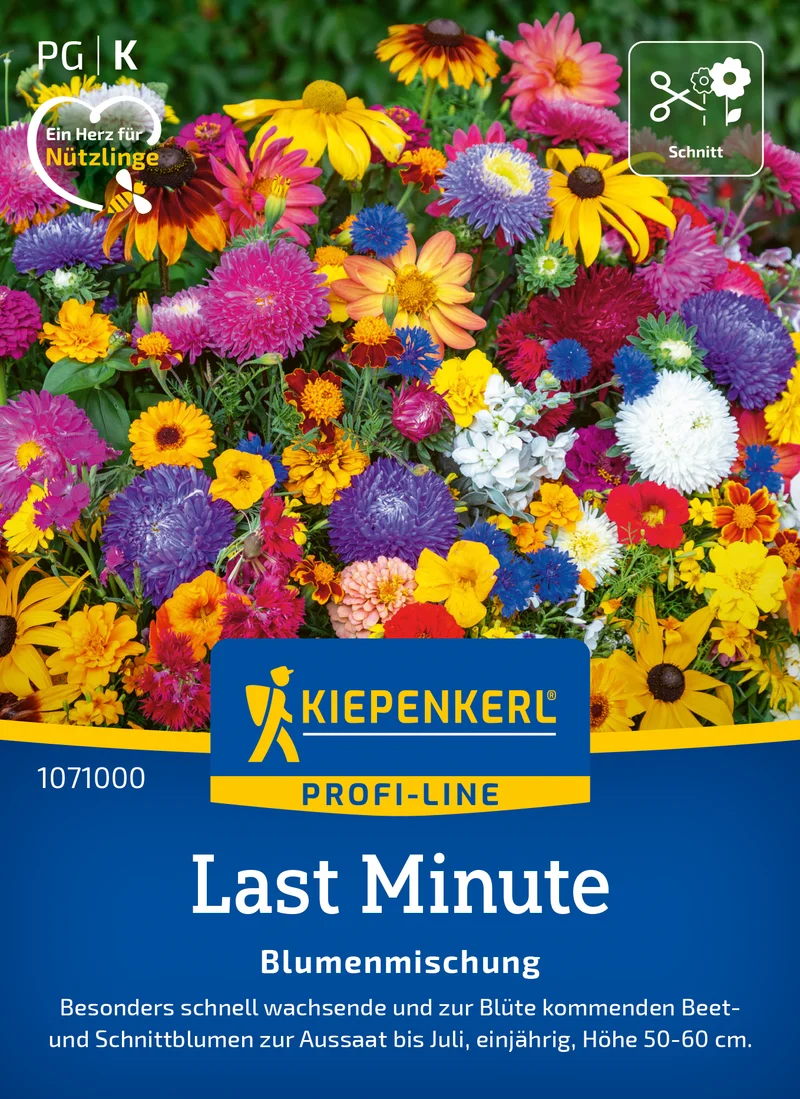 Blumenmischung Last Minute Saatgut