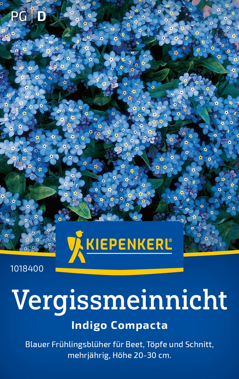 Vergissmeinnicht Indigo Compacta Saatgut