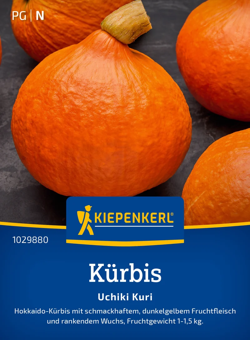 Kürbis Uchiki Kuri Saatgut