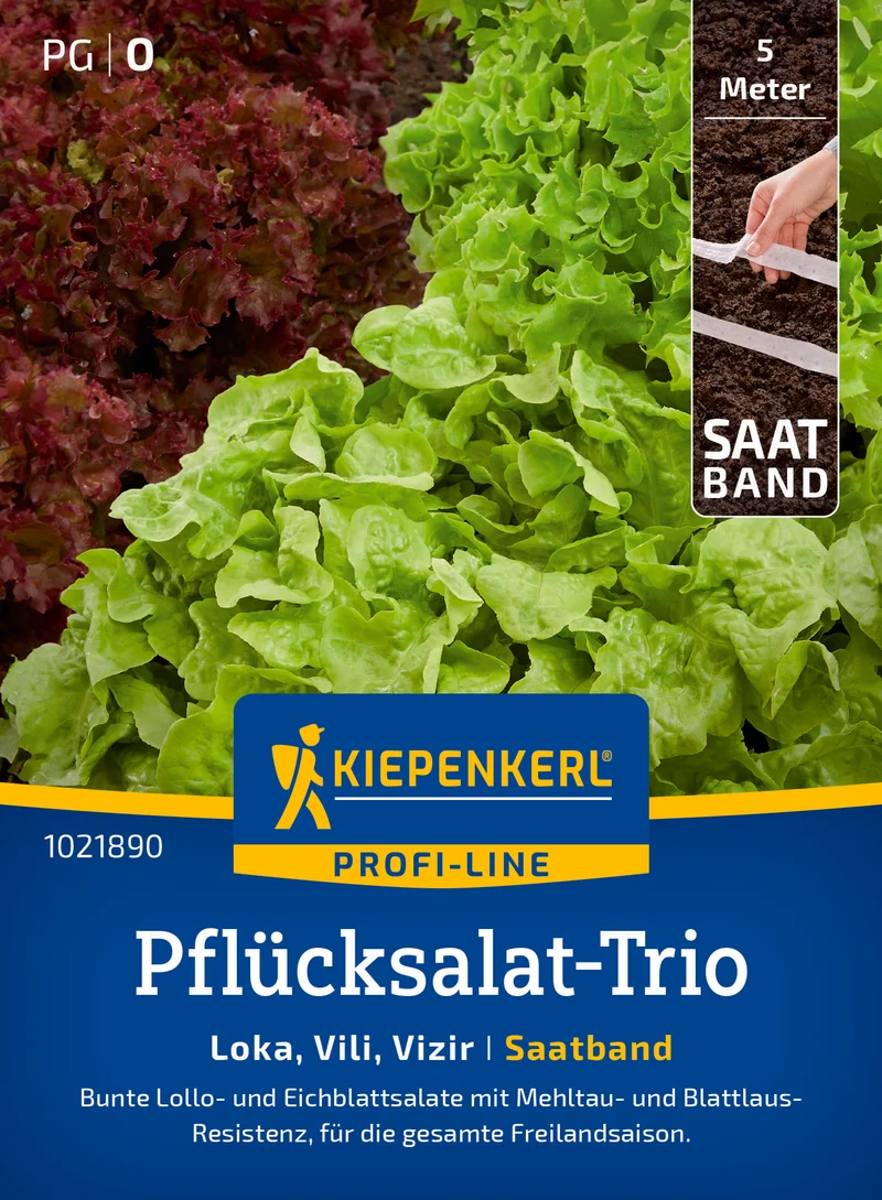 Pflücksalat Trio Loka Vili Vizir Saatband