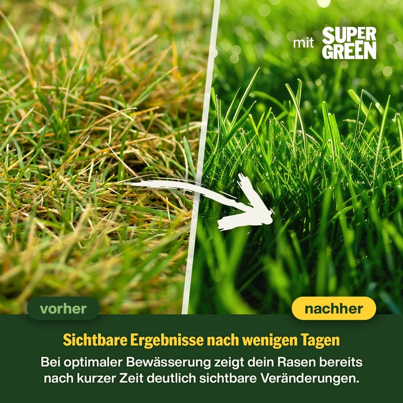 Sommer-Rasenpflege-Set