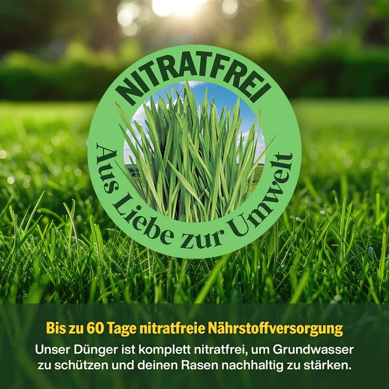 Sommer-Rasenpflege-Set