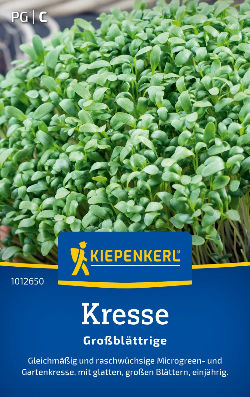 Kresse Glatte großblättrige Saatgut