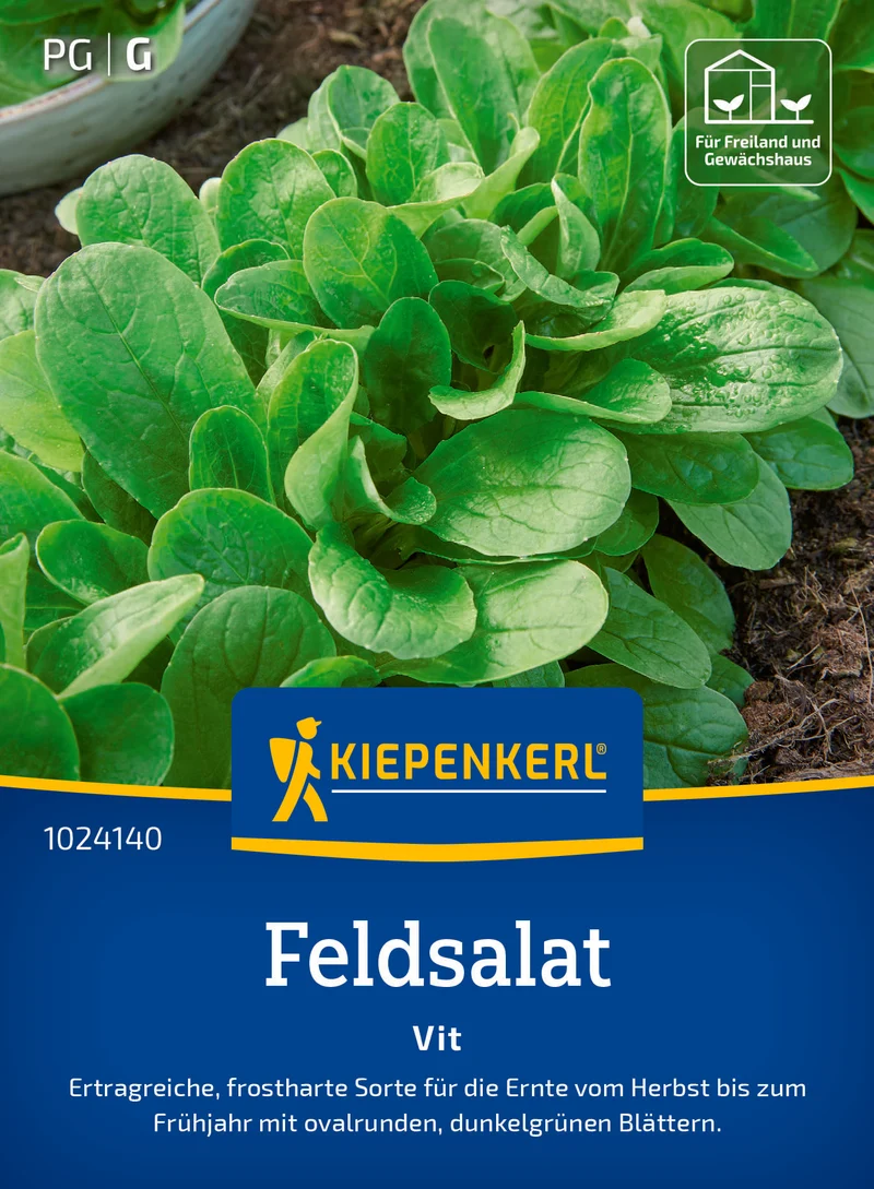 Feldsalat Vit Saatgut