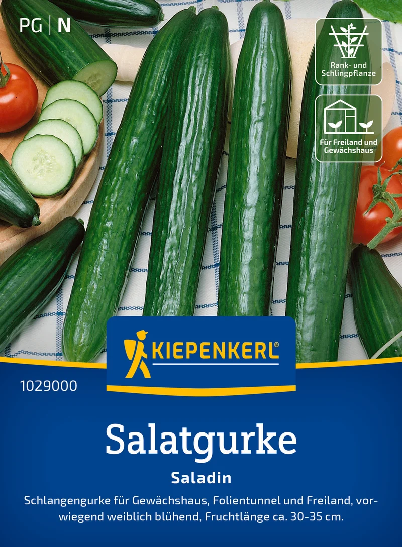 Salatgurke Saladin F1 Saatgut