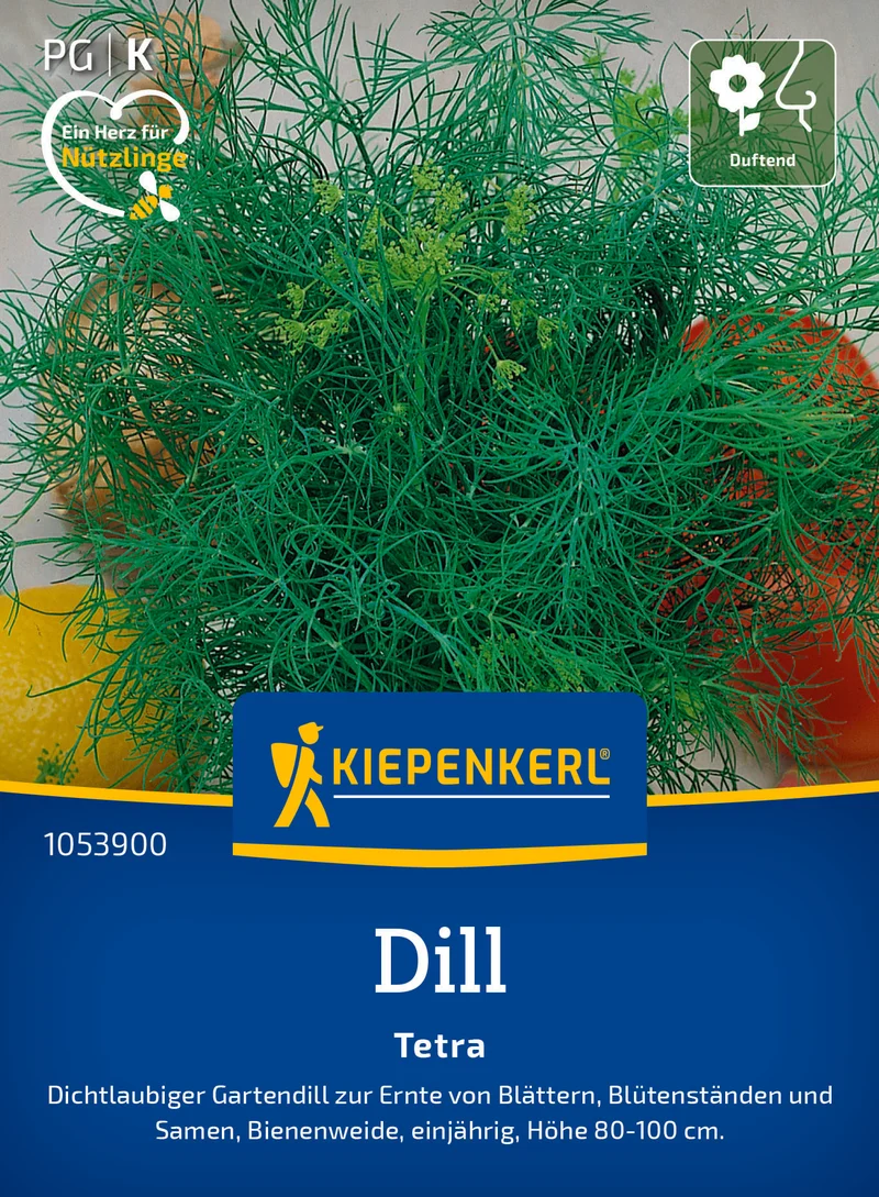 Dill Tetra Saatgut