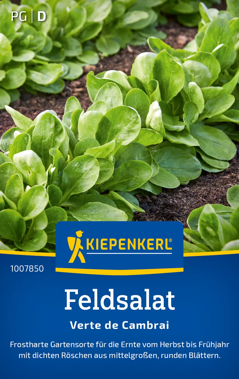 Feldsalat Verte de Cambrai Saatgut