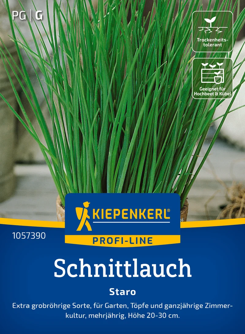 Schnittlauch Staro Saatgut