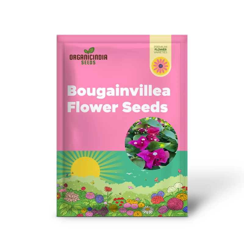 Bougainvillea Flower Seeds Planting Red
