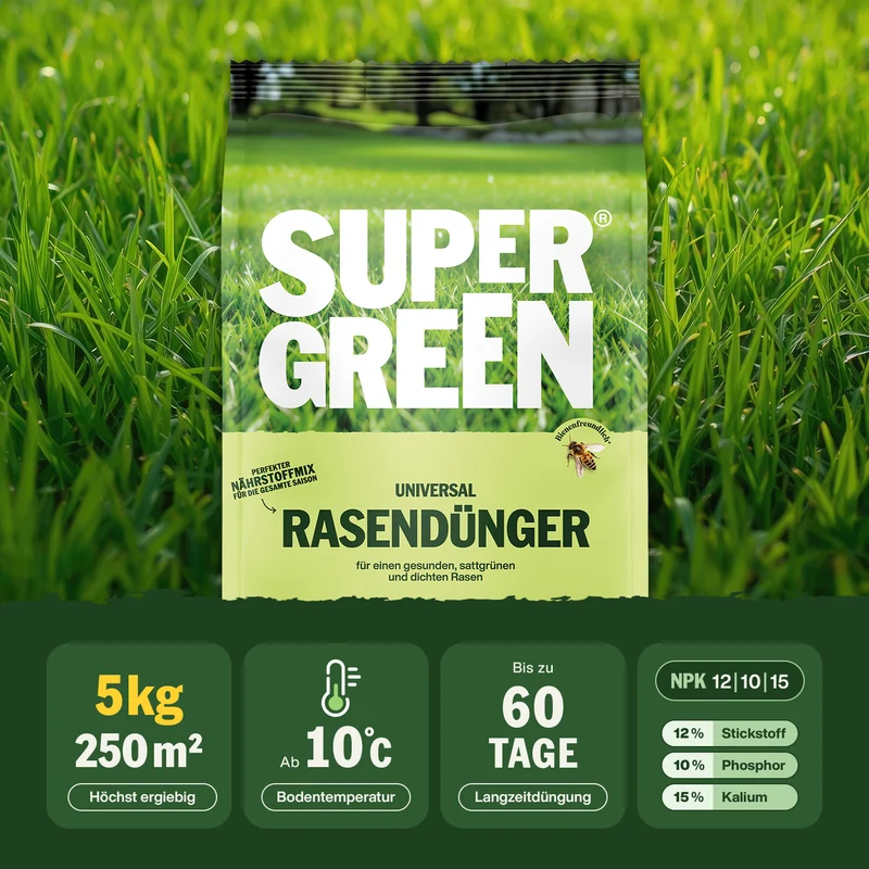 Moosfrei-Rasen-Set