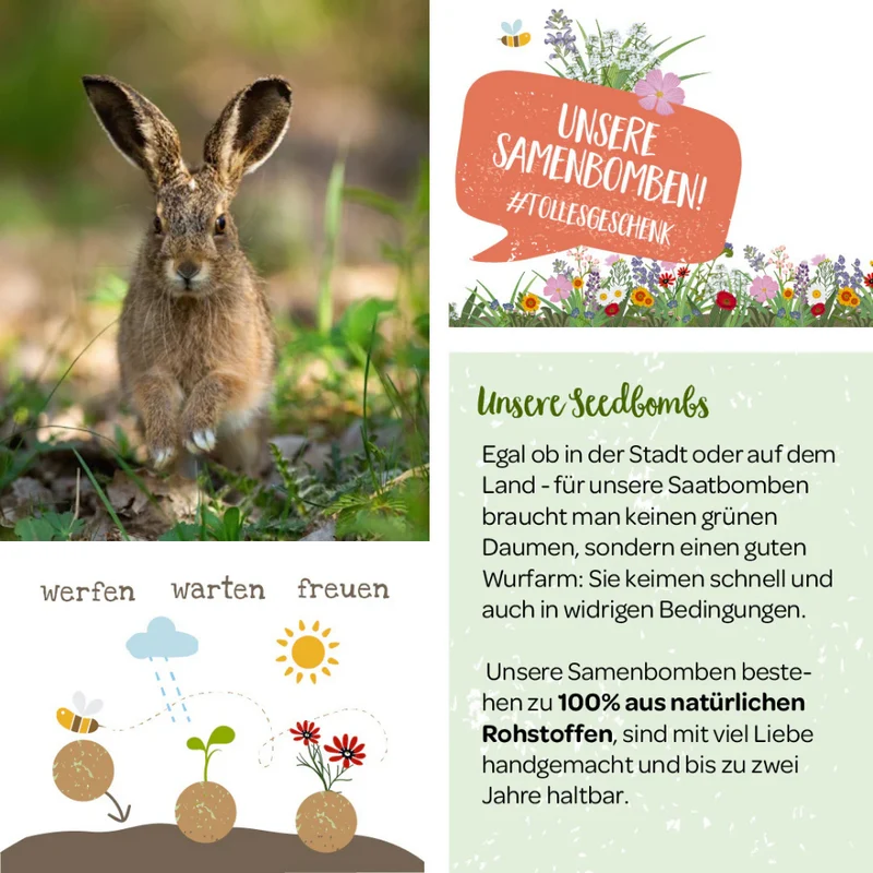 25 Saatkugeln in Papiertüte - W.m.W. Deutschland e.V.