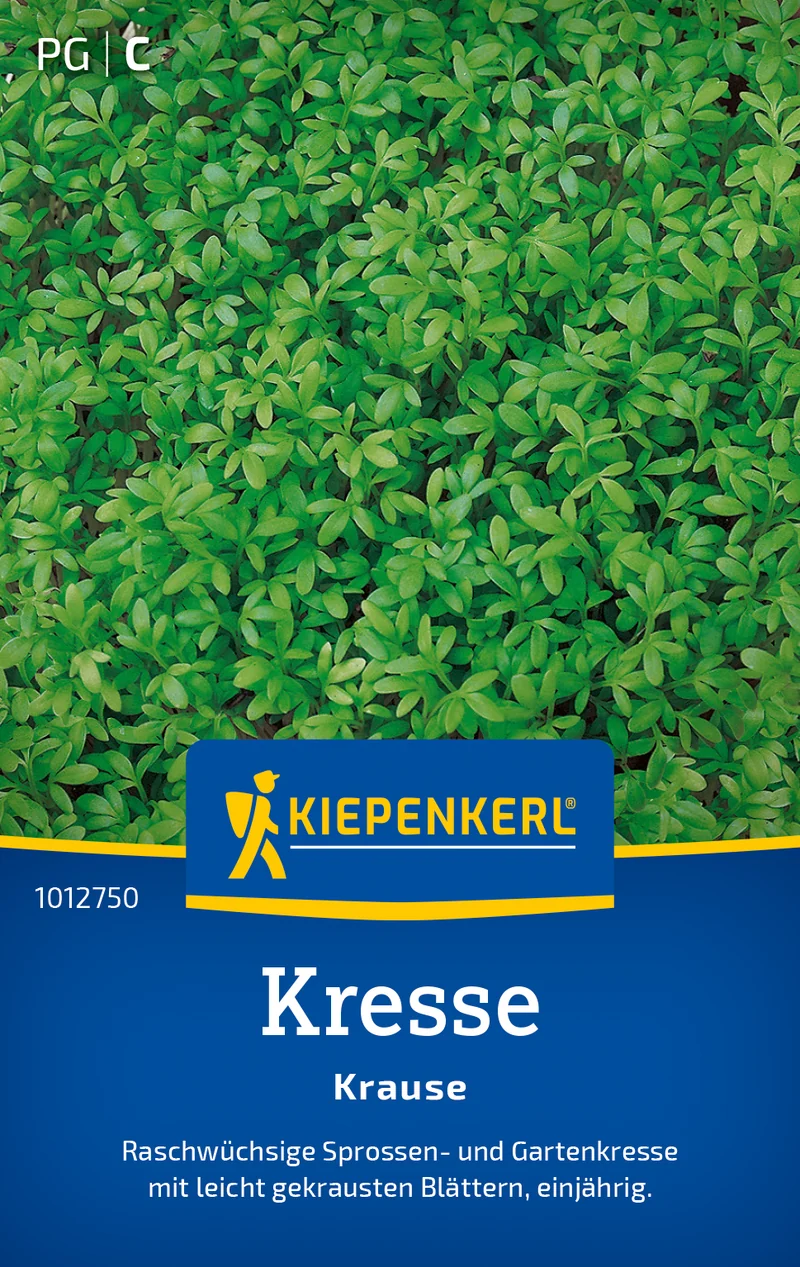 Kresse Krause Saatgut
