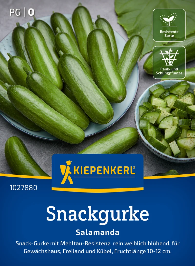 Snackgurke Salamanda F1 Saatgut