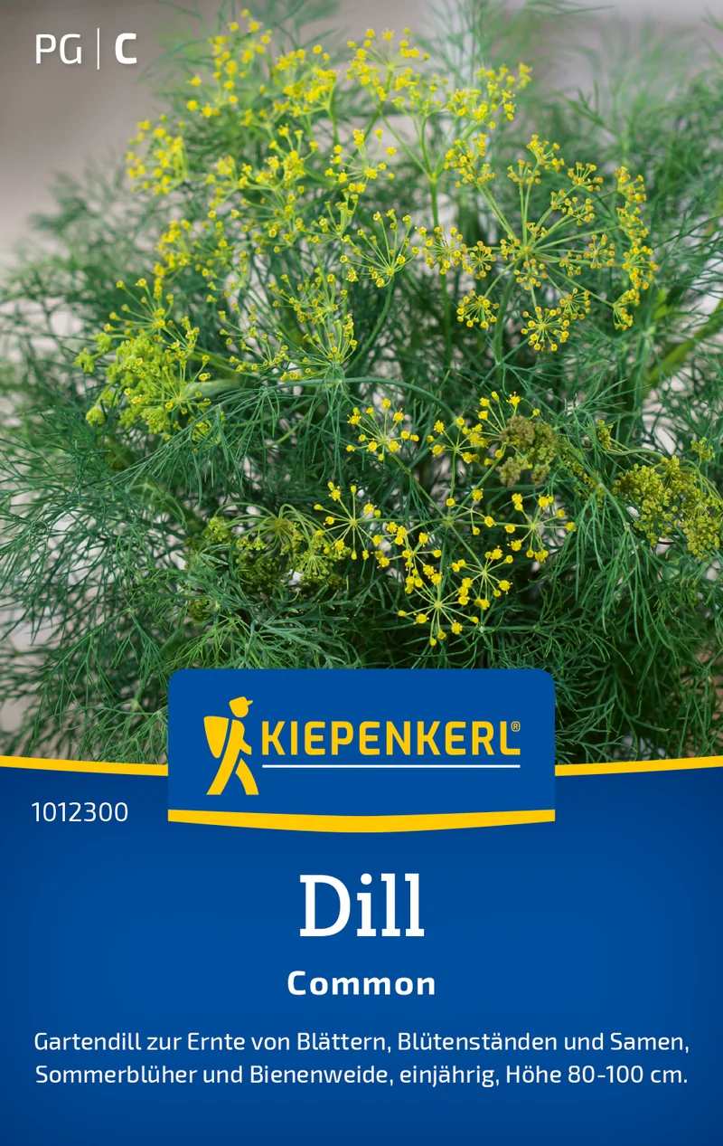 Dill Common Saatgut