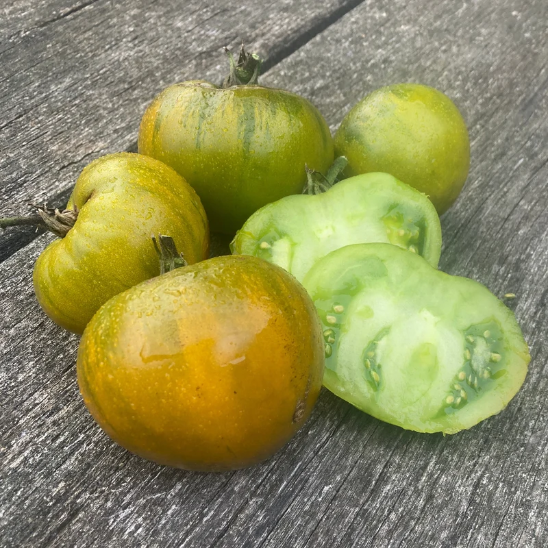 Fleischtomate "Green Moldovan"