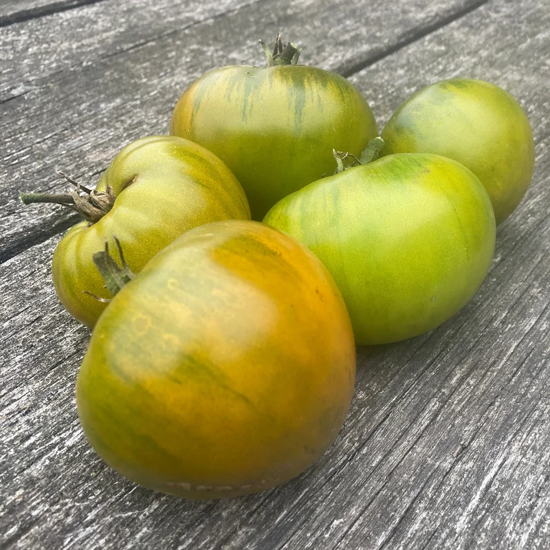 Fleischtomate "Green Moldovan"