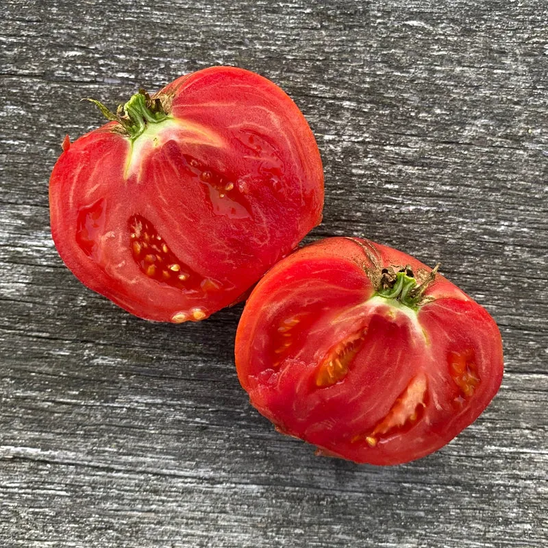 Fleischtomate "Carbon"