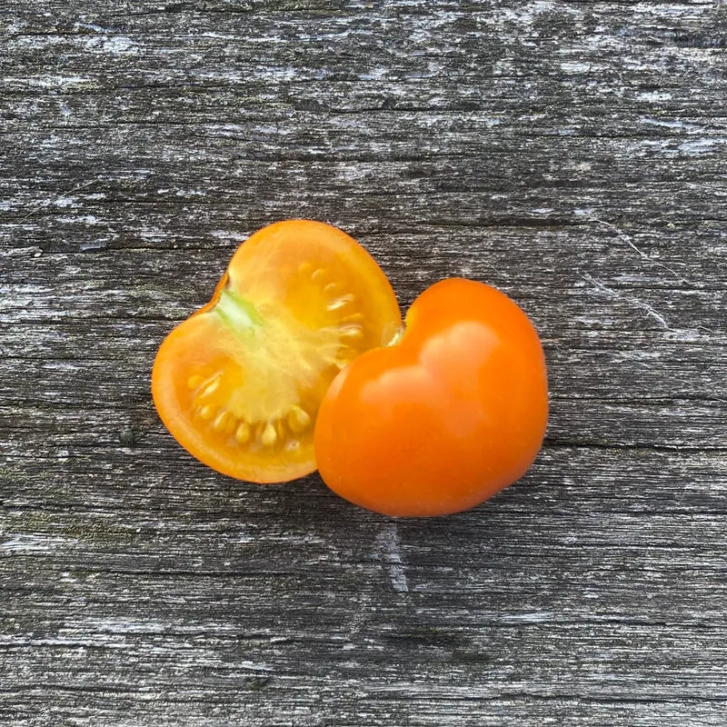 Salattomate "Anamar"