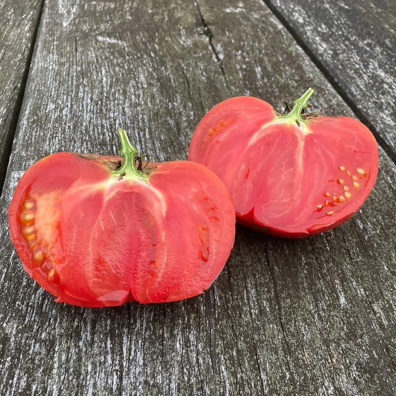Fleischtomate "Nahuelbuta Pink"