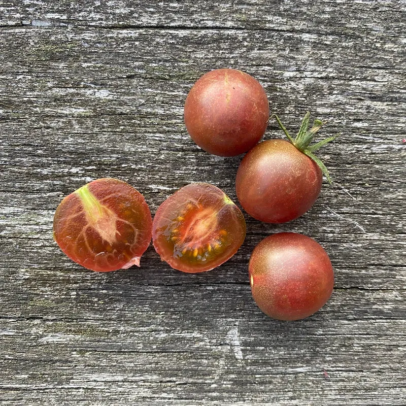 Cherrytomate "Black Cherry"