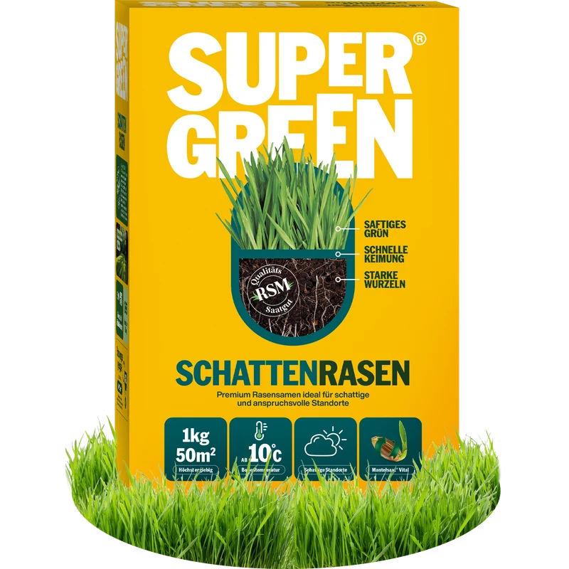 Schattenrasen