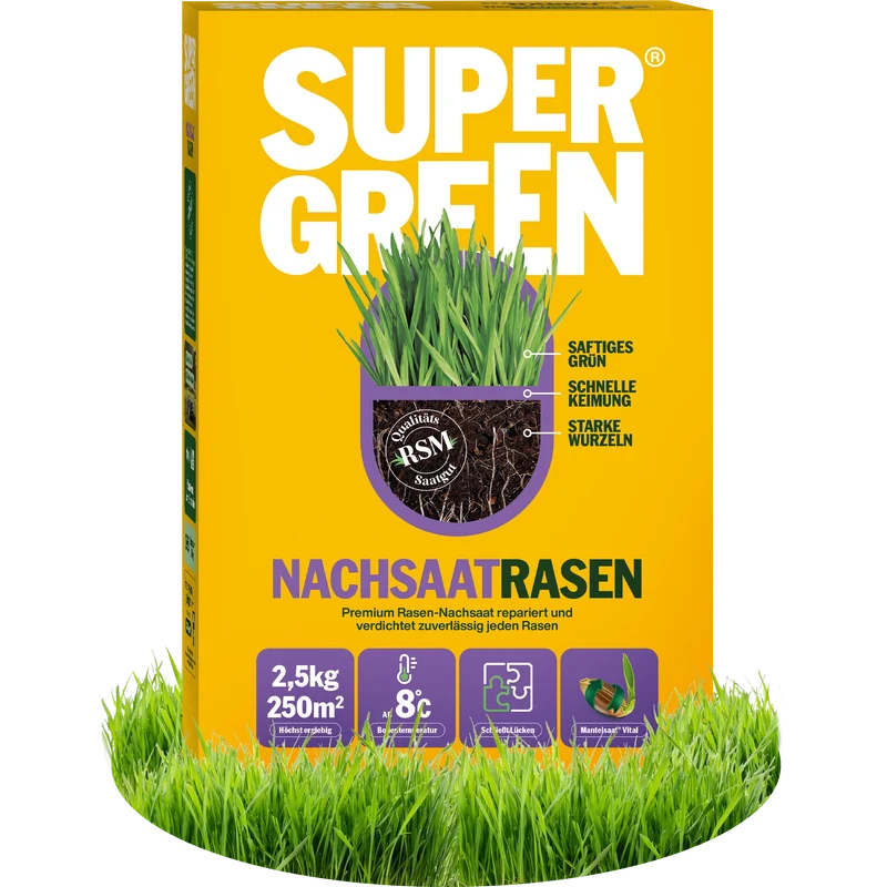 Nachsaatrasen