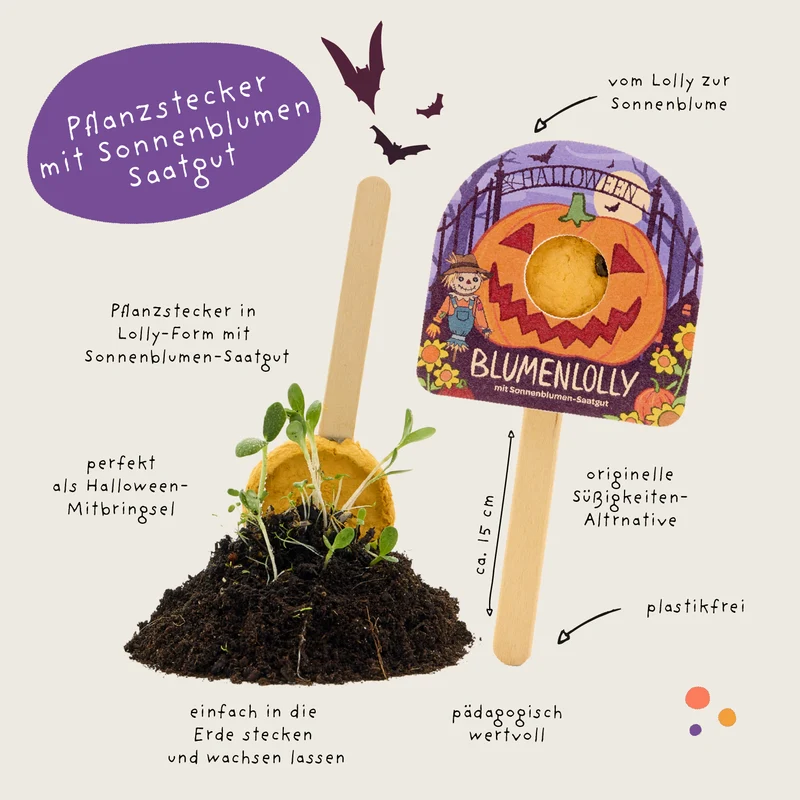 Halloween - Blumenlolly - Sonnenblume